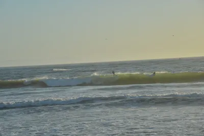 DSC_7273 (Large).JPG